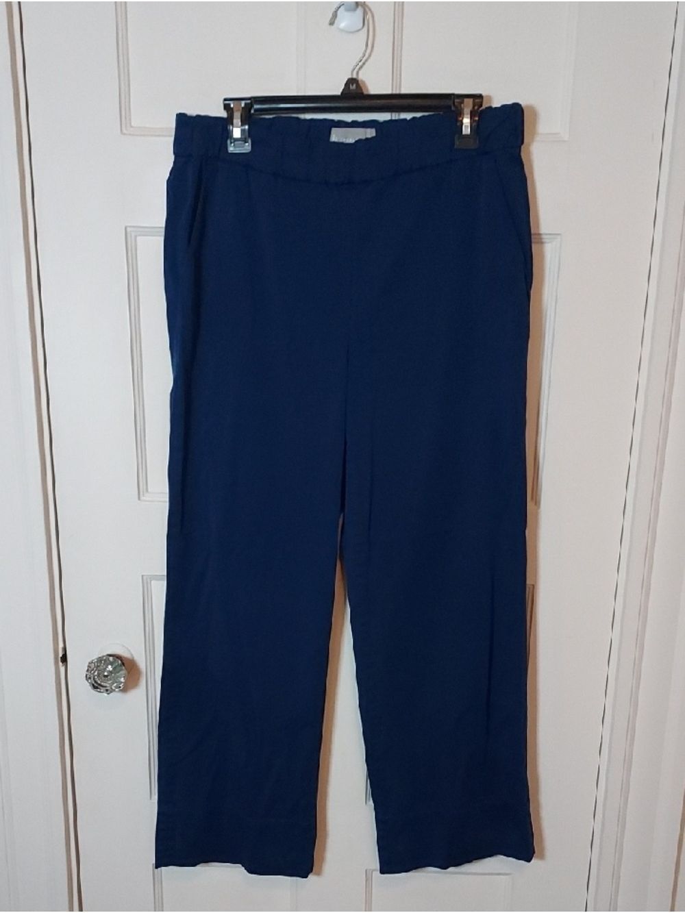 Everlane Women's The Easy Pant Organic Cotton In Blue Size 4
